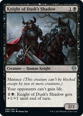 Knight of Dusk's Shadow