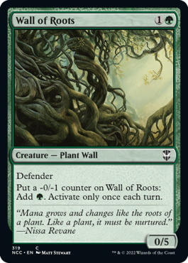 Picture of Wall of Roots                    