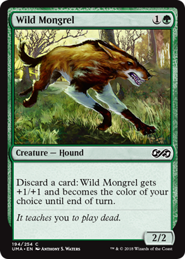 Picture of Wild Mongrel                     